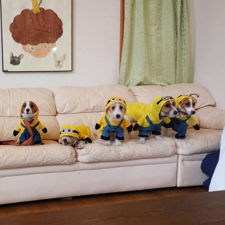 52b3264c 0a75 46a4 9dad be8072f20048 1511572799650