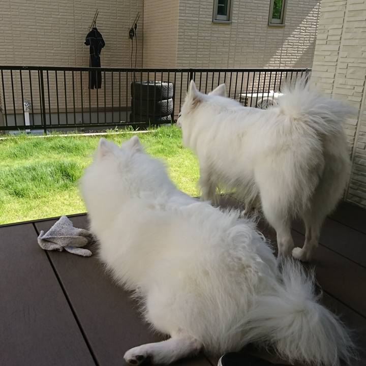 52b32cb5 7a19 4052 98a6 e2488333c34d 1559541589485