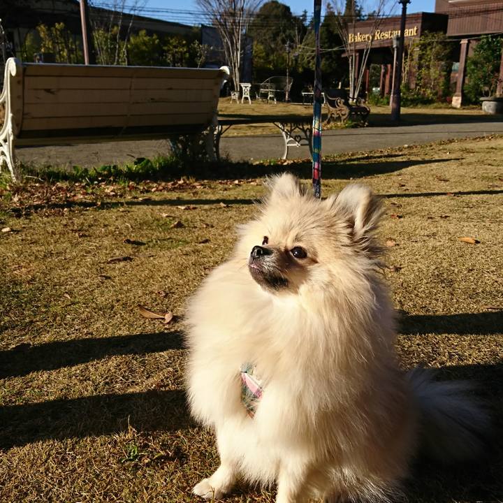 52b3348c ba8f 4999 a459 32aeccb40108 1512199055086