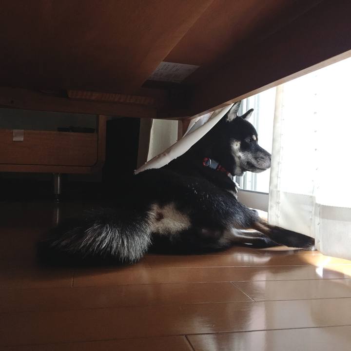 52b36a60 e61a 4e30 a910 f8e49ad980fb 1532661474977