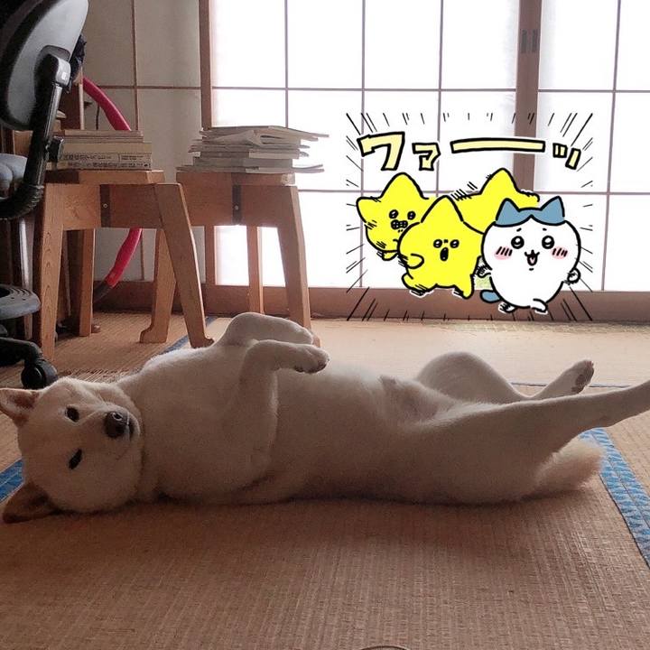 52b39c18 ad1d 44d9 b8c4 67c8f7c446c8 1652496841397