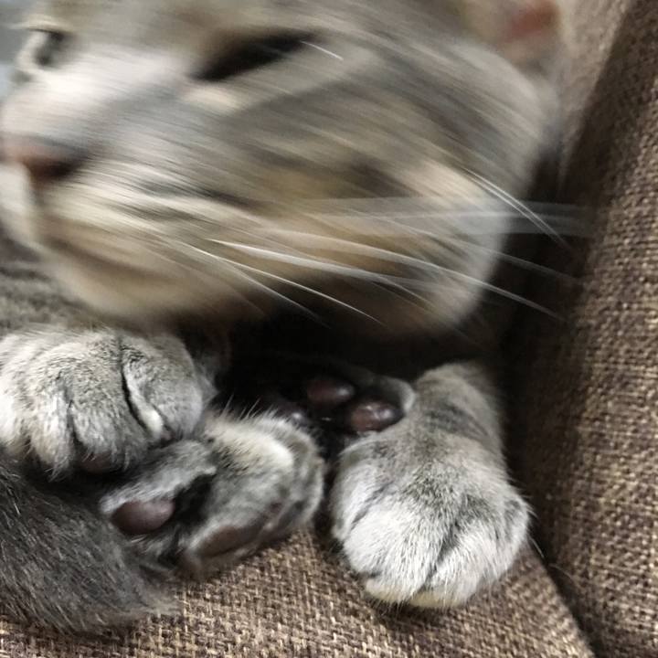 52b3ae6b 2ffa 492f b811 16d5d79cbec8 1568709701732