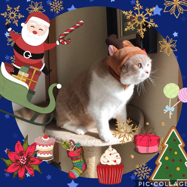 52b3b54c 2d3a 4fb5 87e7 dd2275ad0834 1514104646259