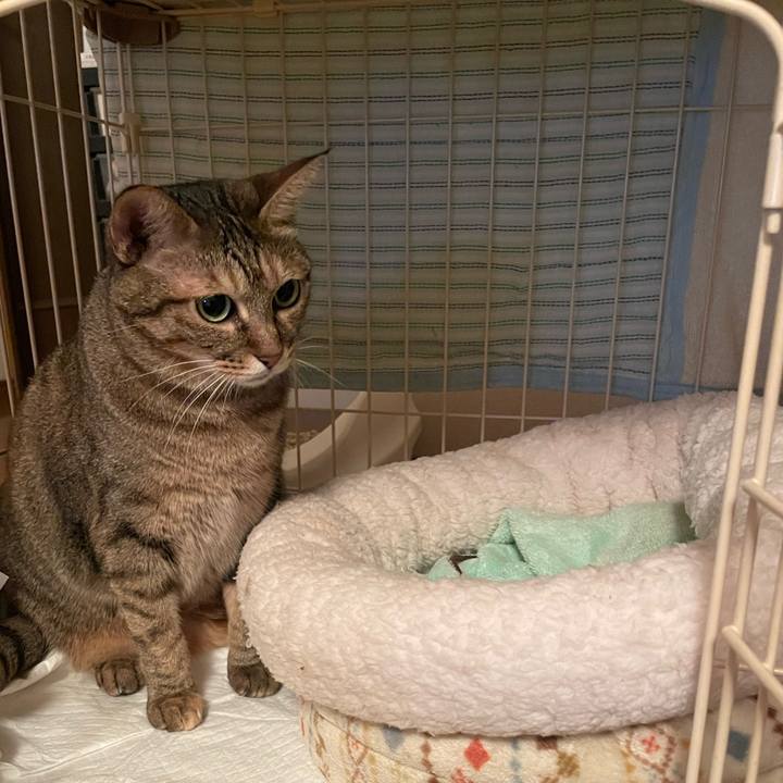 52b3d870 f6cb 43a7 9e49 7af58a22d261 1699102498555