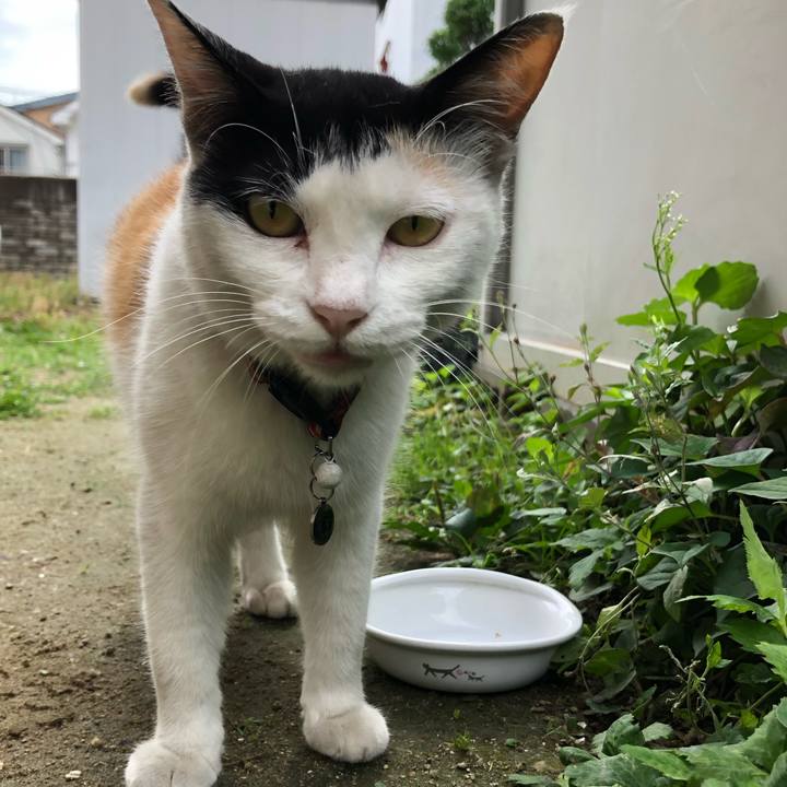 52b3dab1 b523 4af3 84a4 f552861332f5 1625437724300