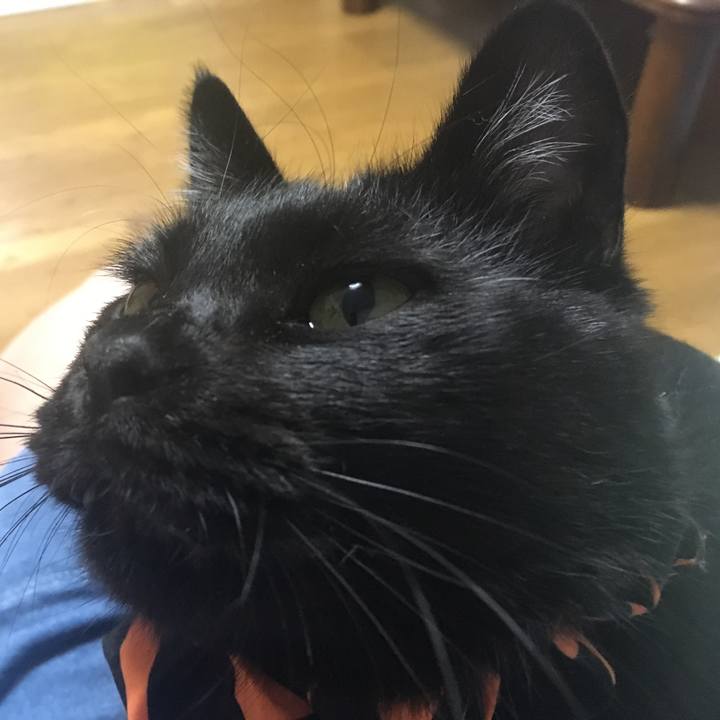 52b3fb96 deeb 43e5 bac9 6e4f5150d96a 1538814073859