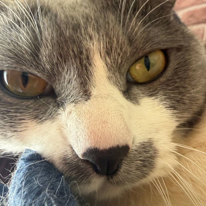 52b43f79 1946 4ffa abe3 3fa846648aa1 1768704444016