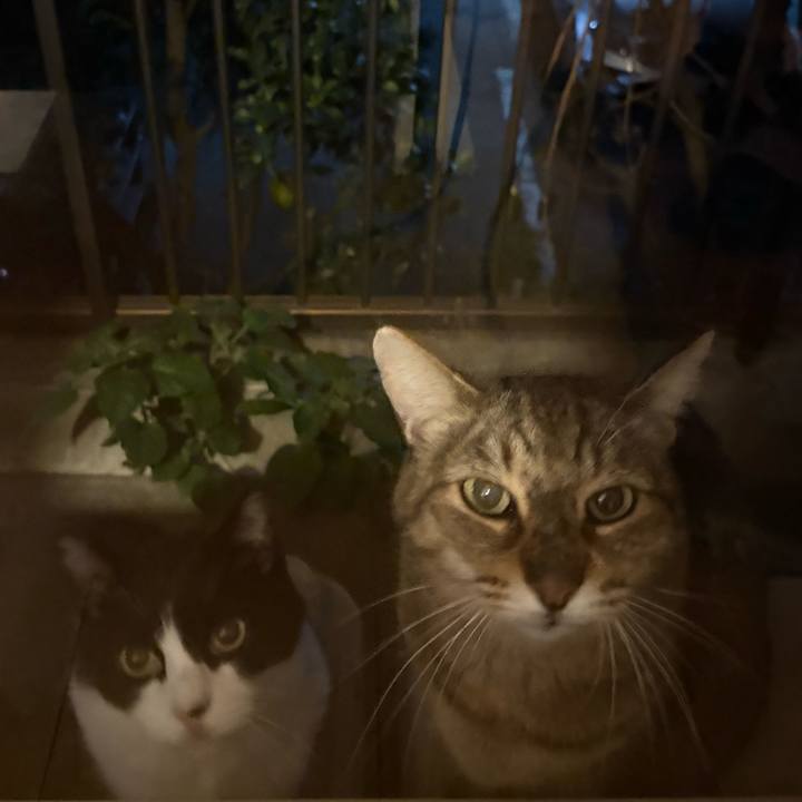 52b44b1c 1e6b 4d80 b731 cbf9ea1e5ac1 1763381540248