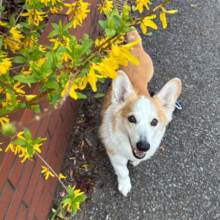 52b45344 8cc5 4ccc 8daa e6e7366a6434 1774829398415