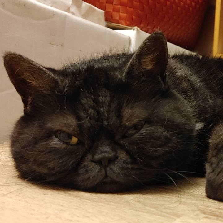 52b45ebb 53f7 425d 9871 26fcf7e2aff6 1692702767373