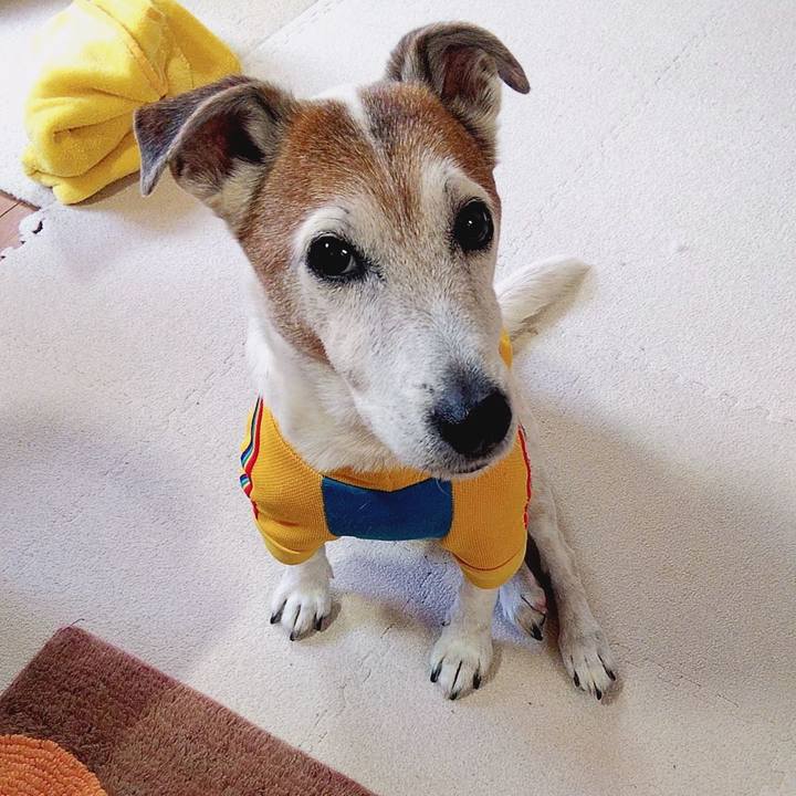 52b49407 fc8b 4444 ab79 e83fe799b05c 1583188484689