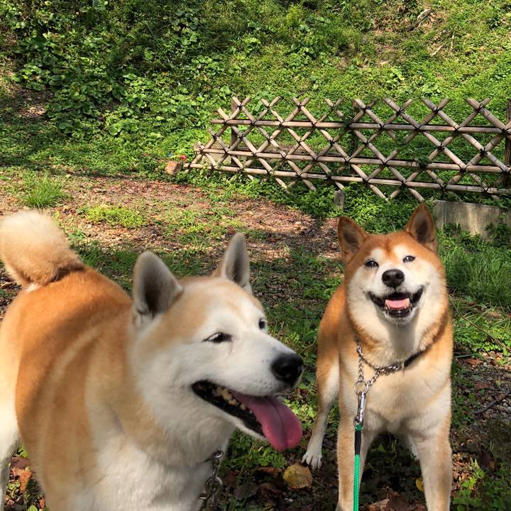 52b53c85 a063 4987 8ba7 7fc0e5e81e48 1757689168197