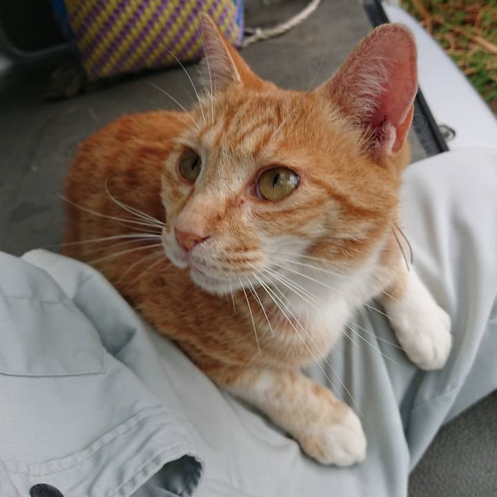 52b54af7 e8ff 4469 b429 6a8bed7ecb04 1593593993258