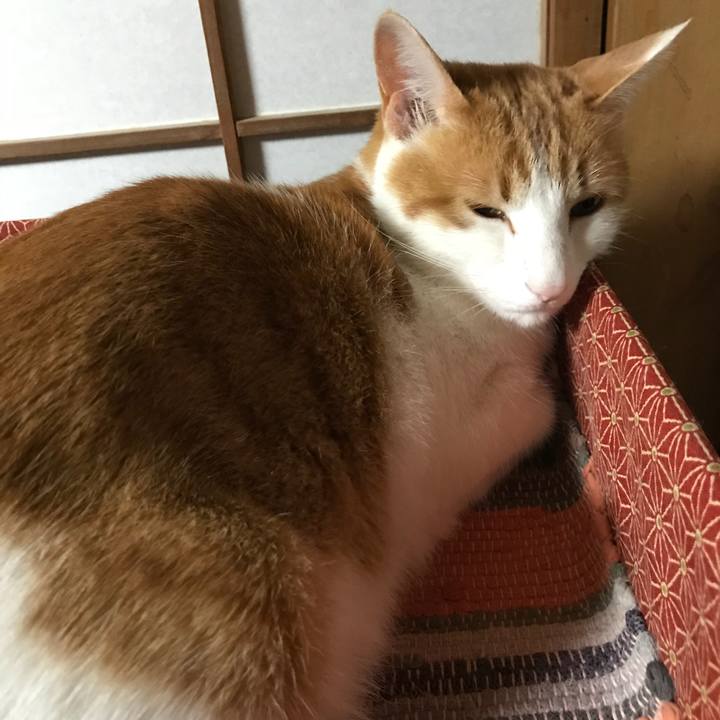 52b585ca dbb8 4fa6 9d04 ab268c4da2cf 1523194052744