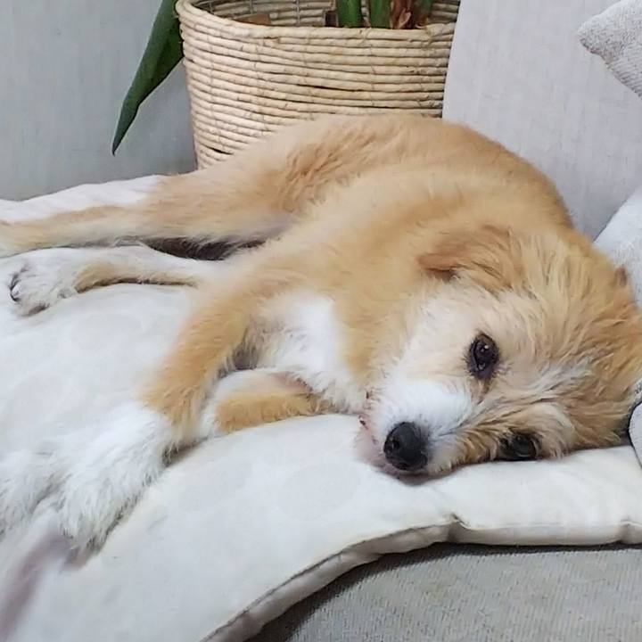 52b59726 b052 4781 bc95 8f7612999725 1532560340143