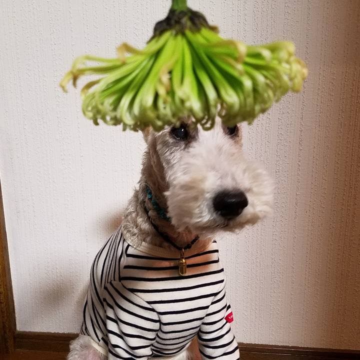 52b5b059 af54 4bcf a9cf f420d3055c5f 1548852016667