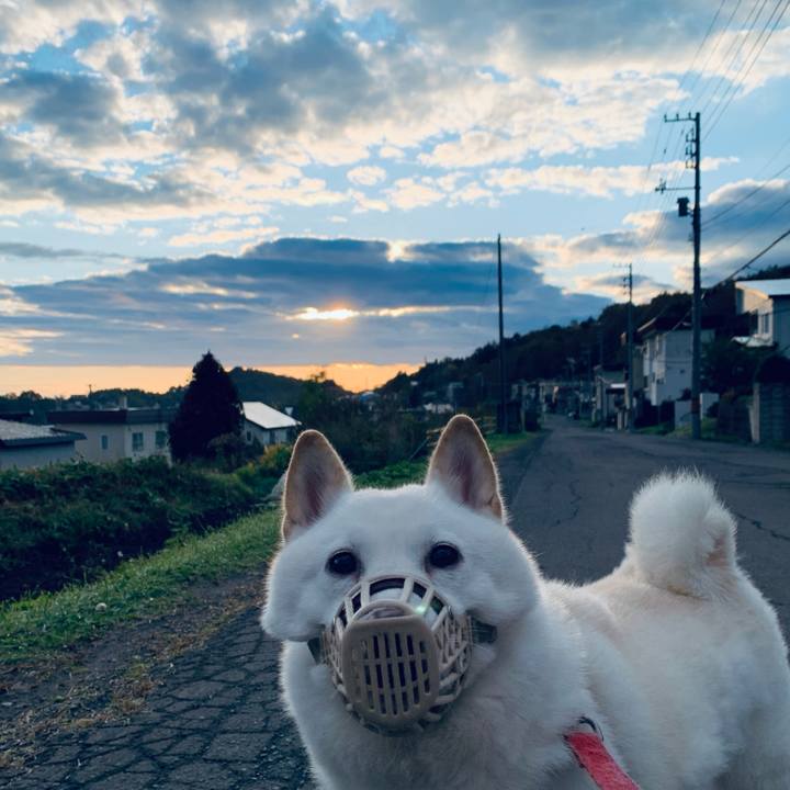 52b5c702 d67c 435e a3e0 b006778d0166 1602629927092