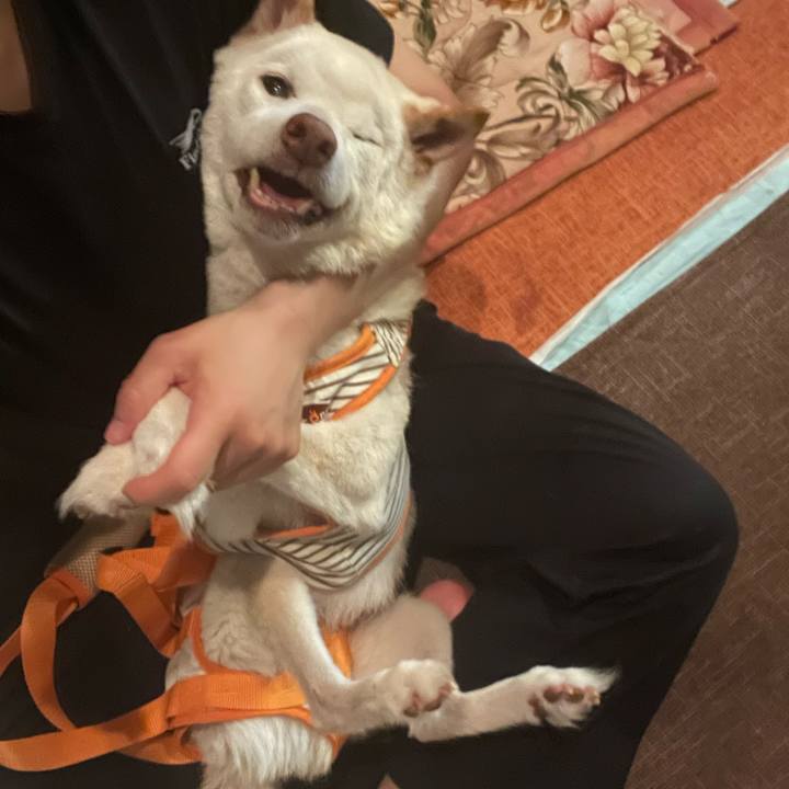 52b5cf47 46c8 4a2b 8dc1 3634b261cf42 1669794157476