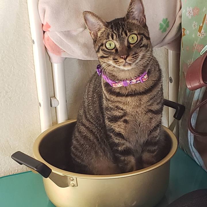 52b60690 7189 464e 9dac 5df9adbe86ed 1566745863035