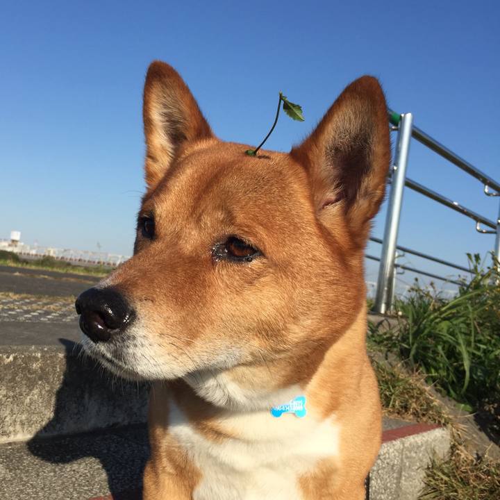 52b608cc 357f 48b3 8e17 60f7ea27b53e 1605319710988