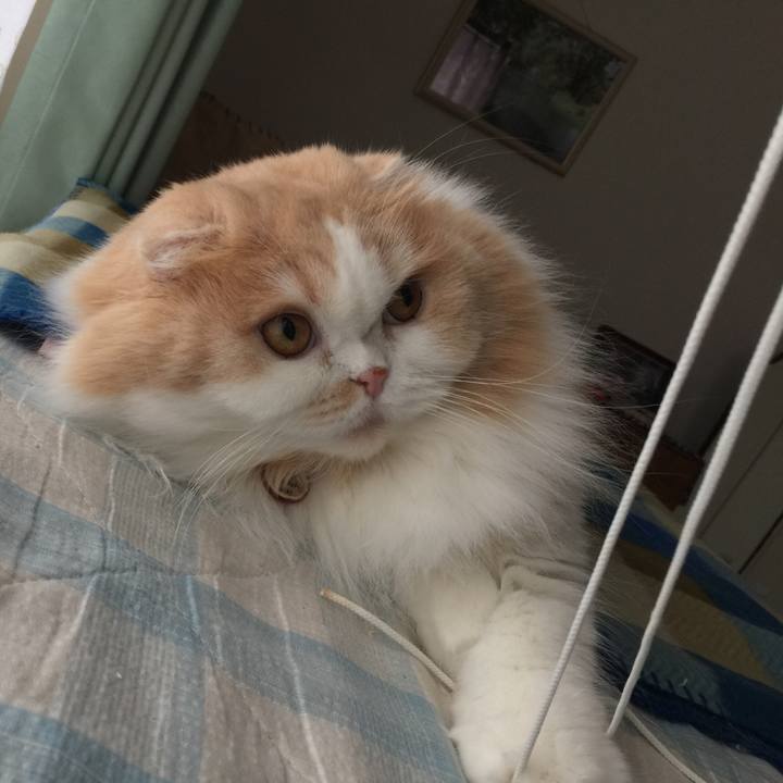 52b61296 abcd 495b bc3b 704bb49da25c 1579998078358