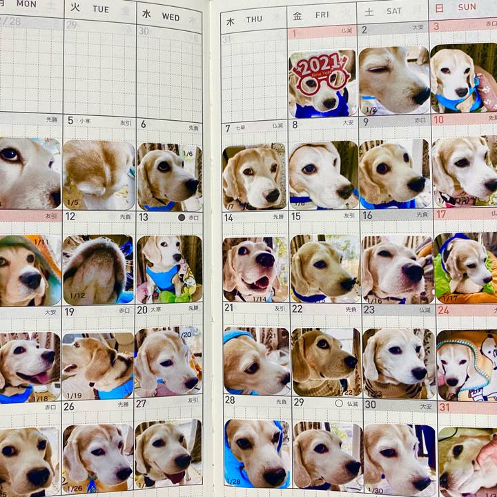 52b62648 91a8 43b1 bc41 10ab431c9ab7 1614524575339