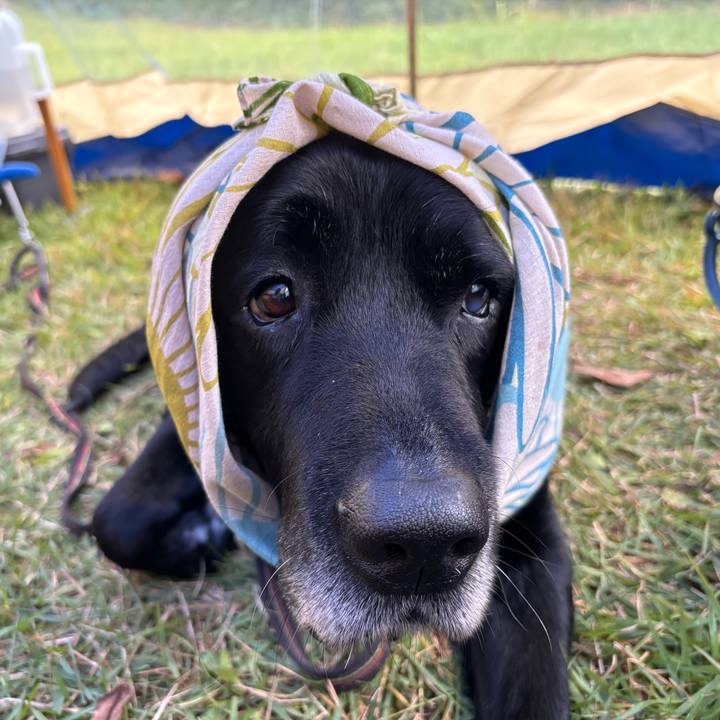 52b63710 24db 431e 8dc9 d9169a9da4d7 1757939924453