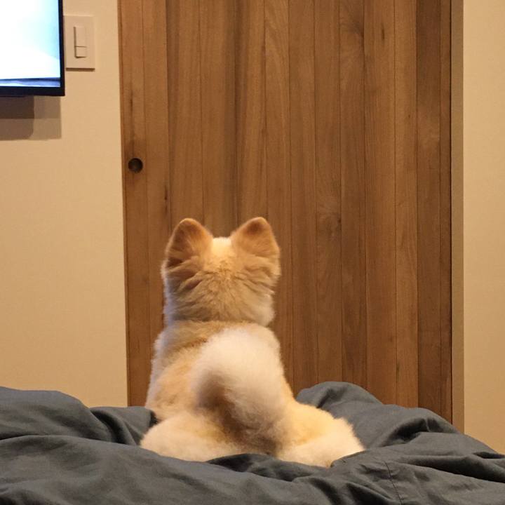 52b689cd 7a96 498c b7b3 b0dc91b4b4f6 1596030806403