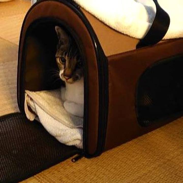 52b6ab68 8d96 421f 9b89 4e19aab31bc5 1710216700147