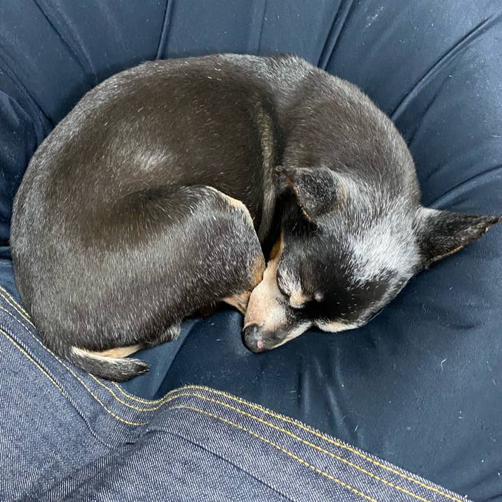 52b6ad8f c4bb 46d1 b149 95adb2f9c9e9 1587292343694