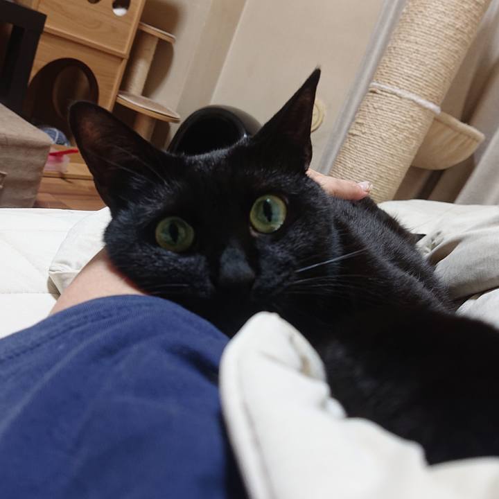 52b6b670 d3c1 4a44 aabb aa4274823d52 1718066066693