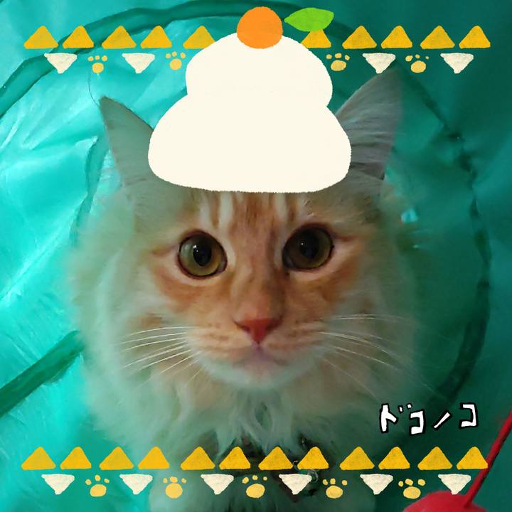 52b6bb07 536f 4a79 a424 992c82830c38 1704252220394