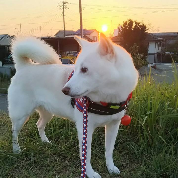 52b6ce1b d653 4803 9a0b aad745f5d9cd 1569922868838