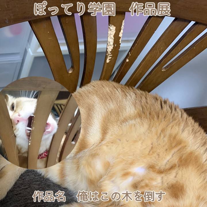 52b6e3c4 bd58 46a3 8f46 d340bcc326b8 1614468991642