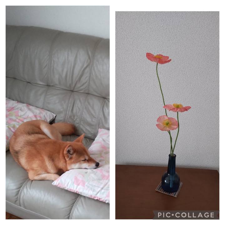 52b711b9 122a 4558 b66d 3f16f8b0a1ba 1684198367531