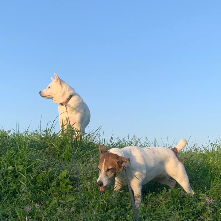 52b772ed 4dd7 476a acba 8b8b603f31e0 1543750554091