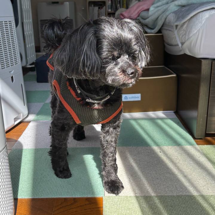 52b7b051 23d4 4f04 b663 c0114794796d 1745296633256