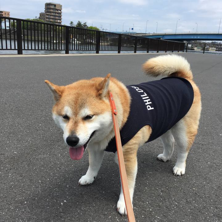 52b7d257 9544 453b acb0 3c2aaffaf219 1557717186702