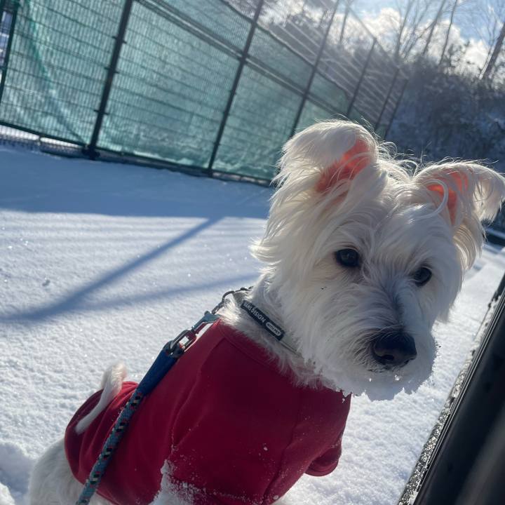 52b7e23d 1946 4d07 a74f dd7dd0597e8f 1769135051735