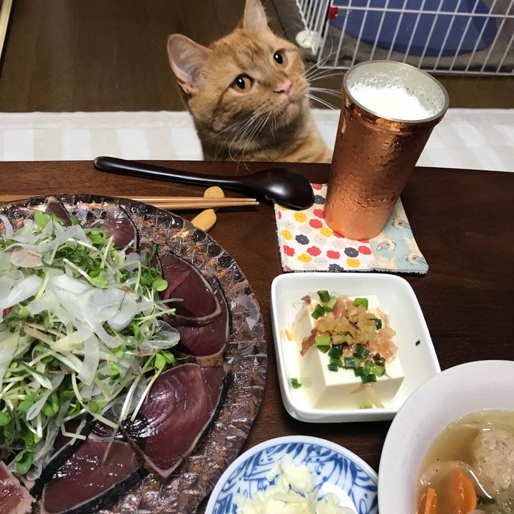 52b82b70 9757 4fd9 a6ae 666ead1399d2 1528199047001