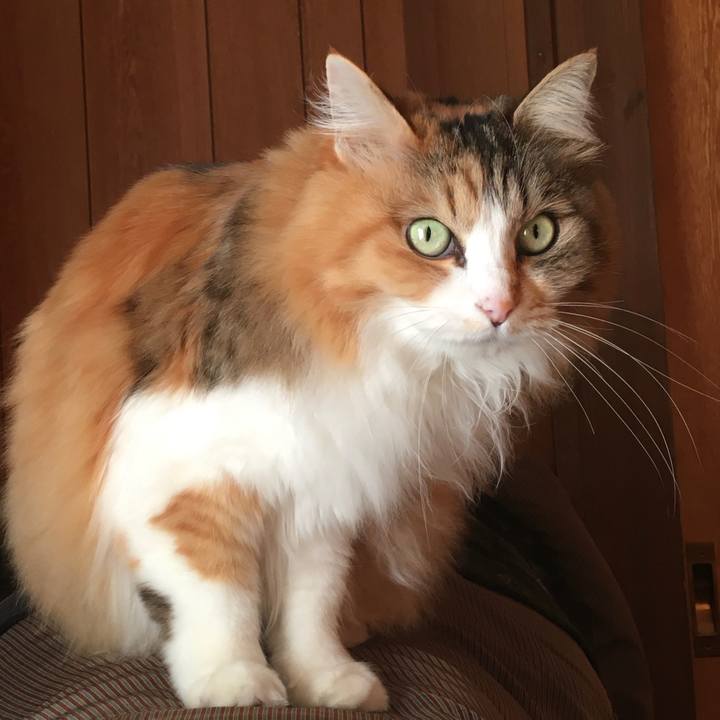 52b835df 2291 4533 b634 e65392c52725 1614664622356