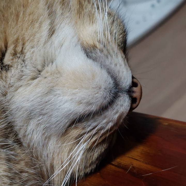 52b867d8 a701 456b 9d9b f84be03e66b7 1656762486227