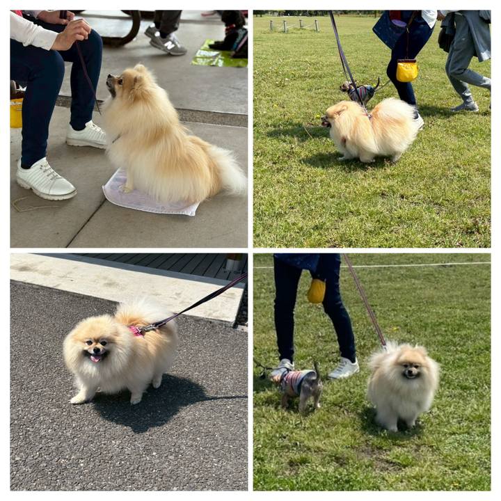 52b8b9bf 274a 49af 92e3 0e94cd5de130 1747721598885