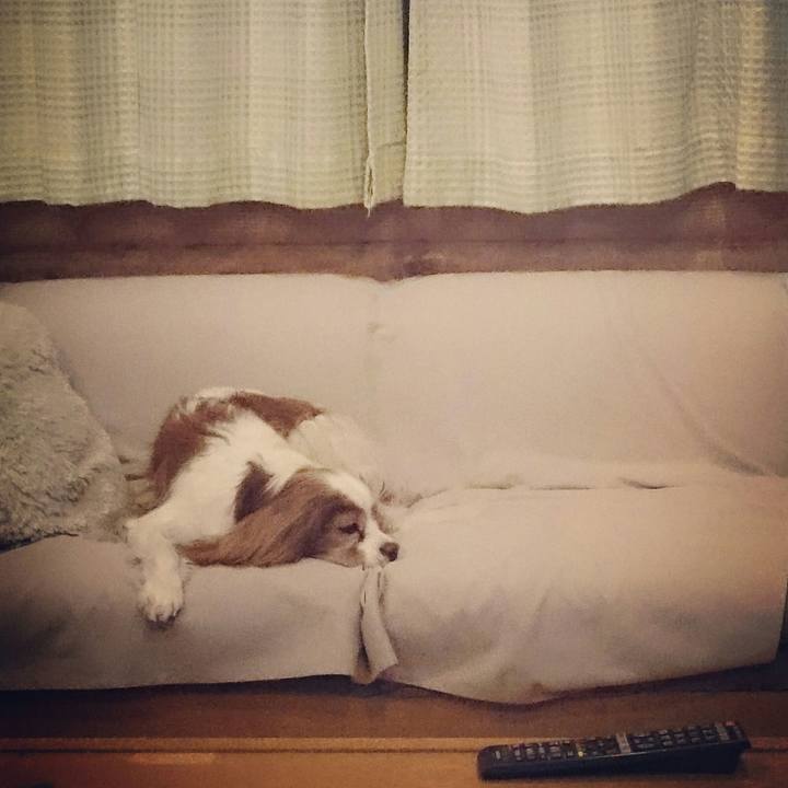 52b91be6 19c3 4252 8b52 497326602a4a 1525868237387