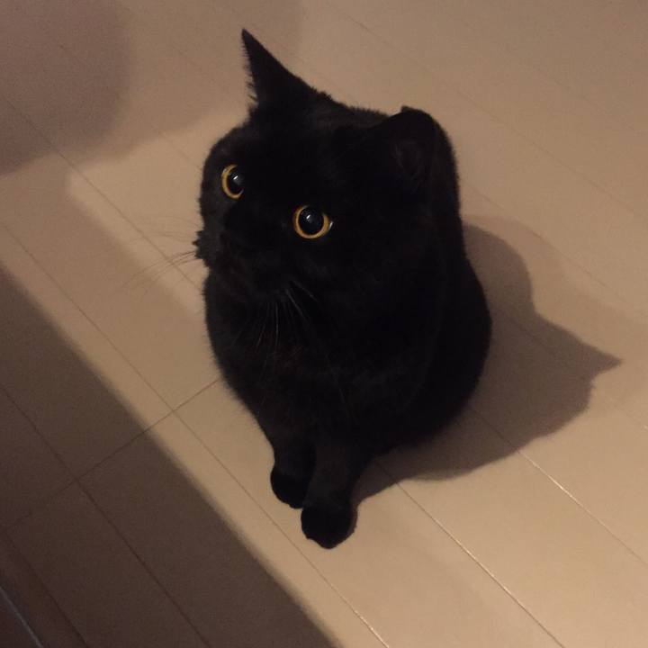 52b948c1 62cc 40fc a043 ad8a19c1db7f 1595857343856