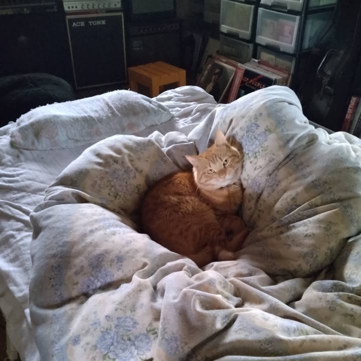 52b94f8f 6586 457b a37c 00b974bb9c8a 1665191157877