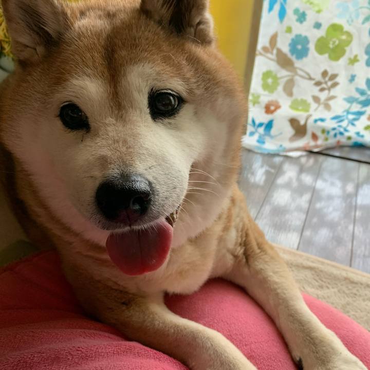 52b9527e aa90 4f8f b378 dba5c0b9df48 1591657745620