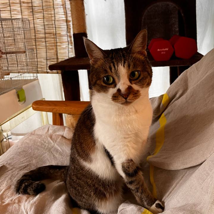 52b9739c 74f0 4e21 854b 6533f489a9b1 1661957480576