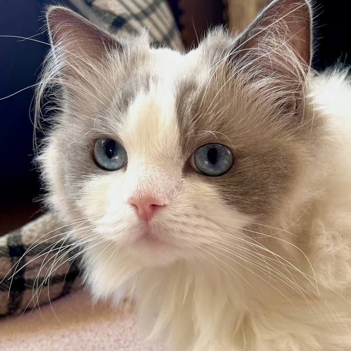 52b97826 c63b 42ec 941e 1eaead240eb4 1719991314871