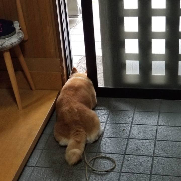 52b9d4af 5812 488d 98bd fc5dea797b5f 1690529715743